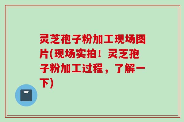 灵芝孢子粉加工现场图片(现场实拍！灵芝孢子粉加工过程，了解一下)