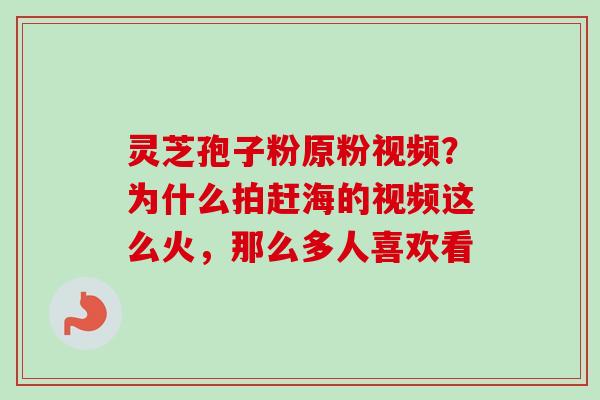 灵芝孢子粉原粉视频？为什么拍赶海的视频这么火，那么多人喜欢看