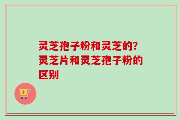 灵芝孢子粉和灵芝的？灵芝片和灵芝孢子粉的区别