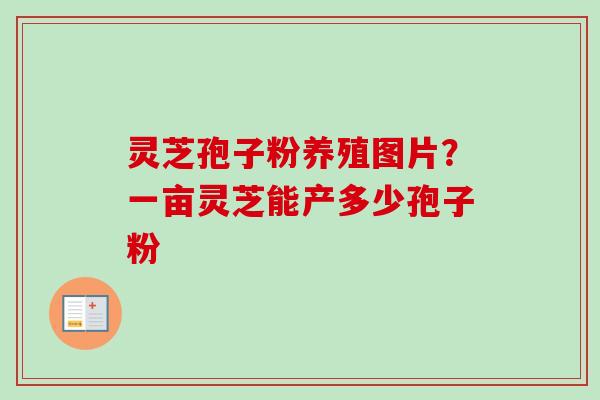 灵芝孢子粉养殖图片？一亩灵芝能产多少孢子粉