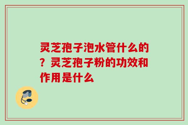 灵芝孢子泡水管什么的？灵芝孢子粉的功效和作用是什么