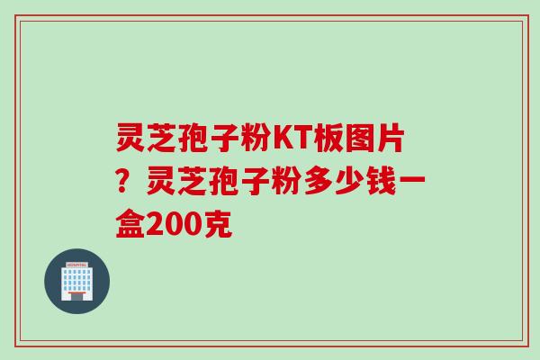 灵芝孢子粉KT板图片？灵芝孢子粉多少钱一盒200克