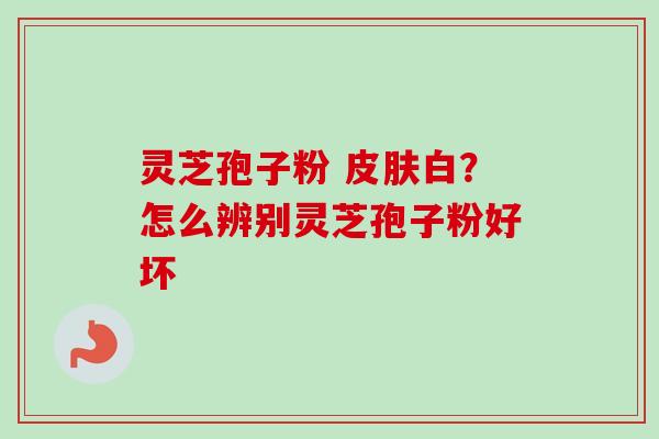 灵芝孢子粉 皮肤白？怎么辨别灵芝孢子粉好坏