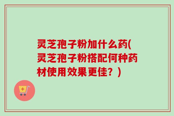灵芝孢子粉加什么药(灵芝孢子粉搭配何种药材使用效果更佳？)