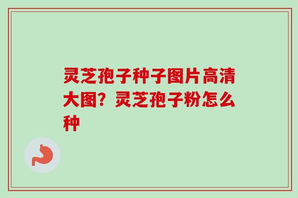 灵芝孢子种子图片高清大图？灵芝孢子粉怎么种
