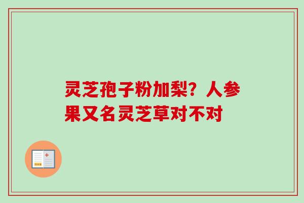 灵芝孢子粉加梨？人参果又名灵芝草对不对