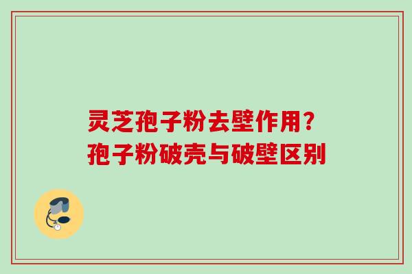 灵芝孢子粉去壁作用？孢子粉破壳与破壁区别