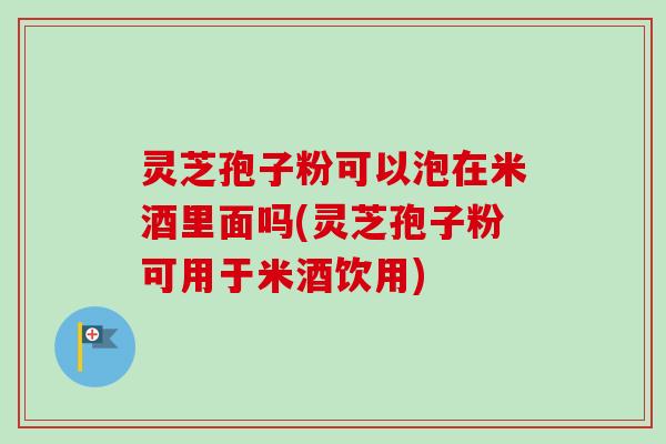 灵芝孢子粉可以泡在米酒里面吗(灵芝孢子粉可用于米酒饮用)