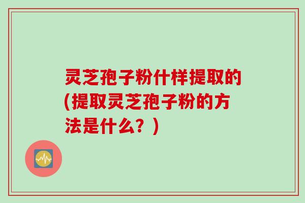 灵芝孢子粉什样提取的(提取灵芝孢子粉的方法是什么？)