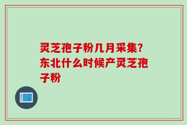 灵芝孢子粉几月采集？东北什么时候产灵芝孢子粉