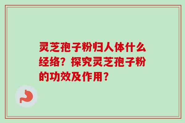 灵芝孢子粉归人体什么经络？探究灵芝孢子粉的功效及作用？