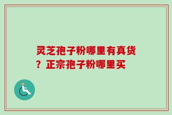 灵芝孢子粉哪里有真货？正宗孢子粉哪里买