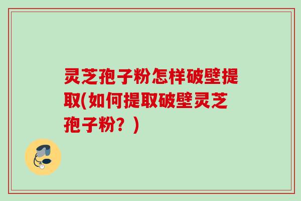 灵芝孢子粉怎样破壁提取(如何提取破壁灵芝孢子粉？)
