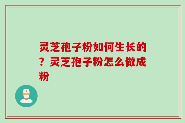 灵芝孢子粉如何生长的？灵芝孢子粉怎么做成粉