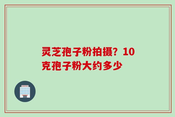 灵芝孢子粉拍摄？10克孢子粉大约多少