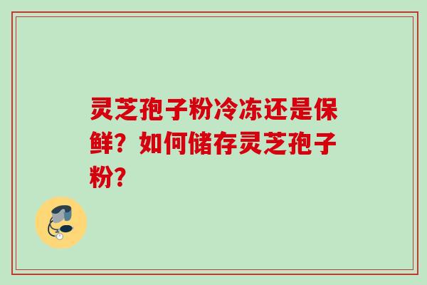 灵芝孢子粉冷冻还是保鲜？如何储存灵芝孢子粉？