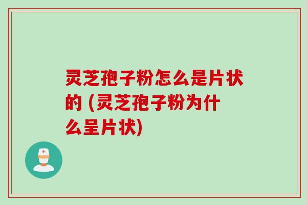 灵芝孢子粉怎么是片状的 (灵芝孢子粉为什么呈片状)