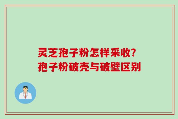 灵芝孢子粉怎样采收？孢子粉破壳与破壁区别