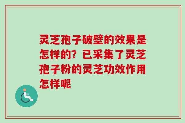 灵芝孢子破壁的效果是怎样的？已采集了灵芝孢子粉的灵芝功效作用怎样呢