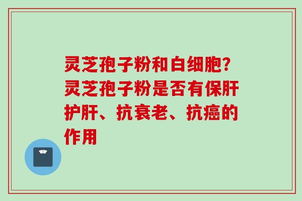 灵芝孢子粉和白细胞？灵芝孢子粉是否有保肝护肝、抗衰老、抗癌的作用