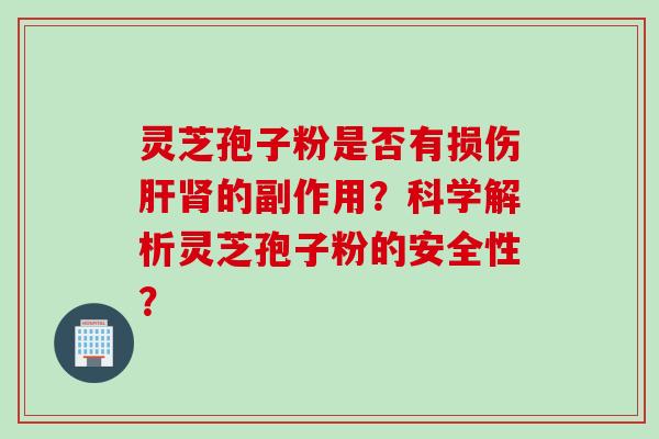 灵芝孢子粉是否有损伤肝肾的副作用？科学解析灵芝孢子粉的安全性？