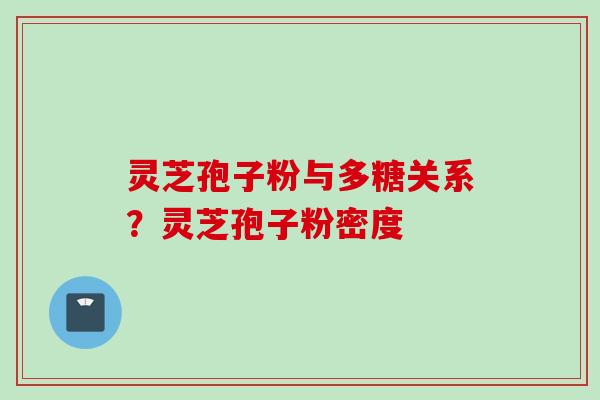 灵芝孢子粉与多糖关系？灵芝孢子粉密度