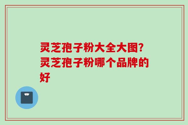 灵芝孢子粉大全大图？灵芝孢子粉哪个品牌的好