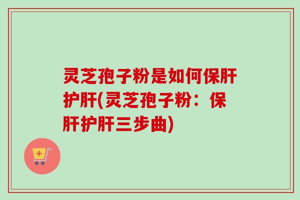灵芝孢子粉是如何保肝护肝(灵芝孢子粉：保肝护肝三步曲)