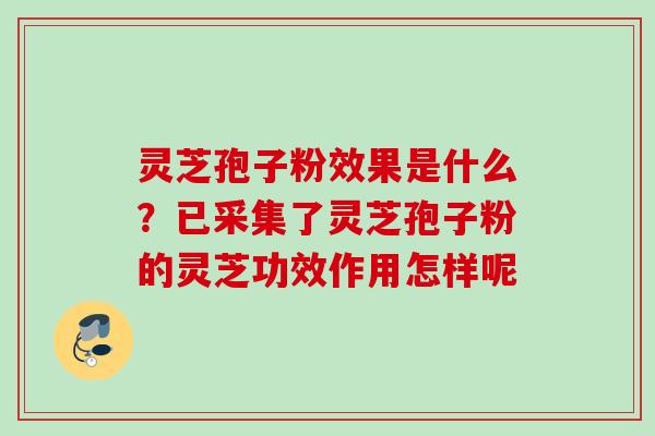 灵芝孢子粉效果是什么？已采集了灵芝孢子粉的灵芝功效作用怎样呢