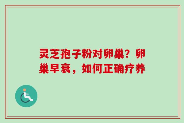 灵芝孢子粉对卵巢？卵巢早衰，如何正确疗养
