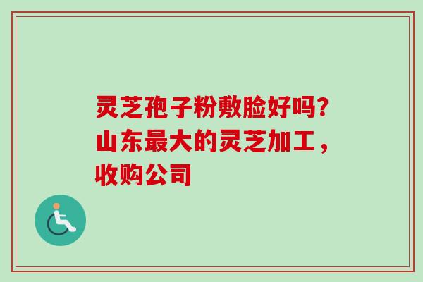 灵芝孢子粉敷脸好吗？山东最大的灵芝加工，收购公司