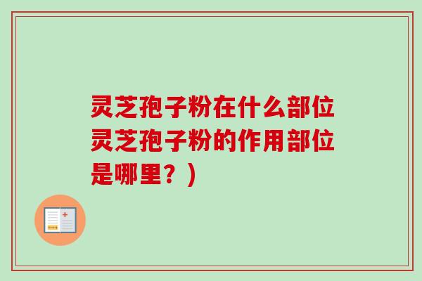 灵芝孢子粉在什么部位灵芝孢子粉的作用部位是哪里？)