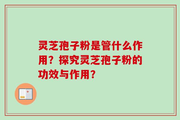 灵芝孢子粉是管什么作用？探究灵芝孢子粉的功效与作用？
