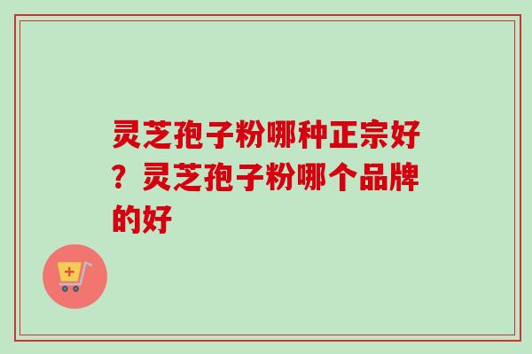 灵芝孢子粉哪种正宗好？灵芝孢子粉哪个品牌的好
