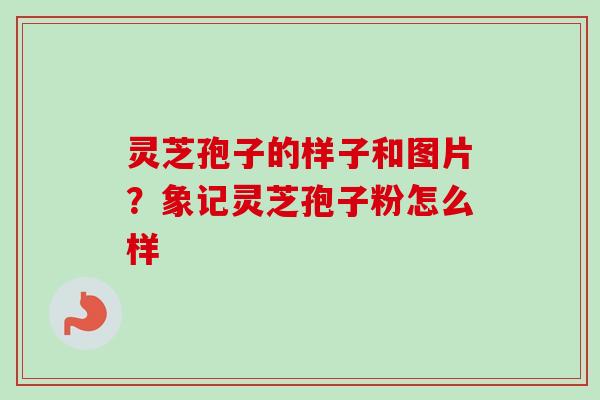 灵芝孢子的样子和图片？象记灵芝孢子粉怎么样