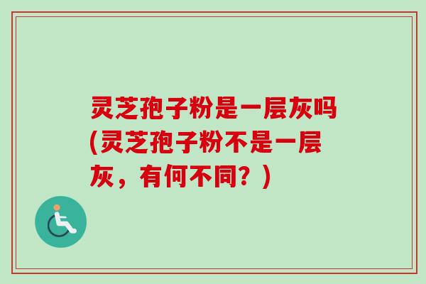灵芝孢子粉是一层灰吗(灵芝孢子粉不是一层灰，有何不同？)