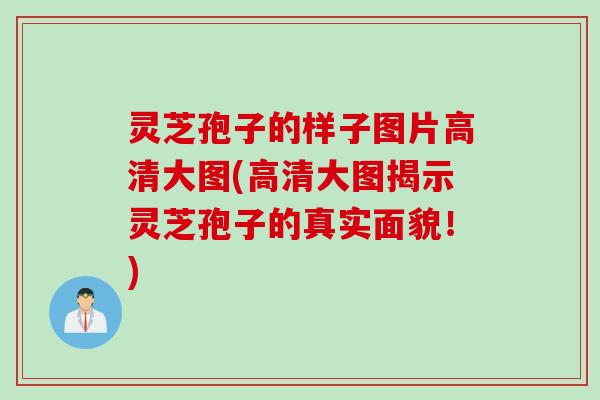 灵芝孢子的样子图片高清大图(高清大图揭示灵芝孢子的真实面貌！)