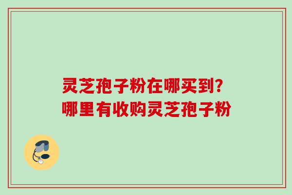 灵芝孢子粉在哪买到？哪里有收购灵芝孢子粉