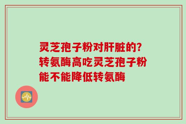 灵芝孢子粉对肝脏的？转氨酶高吃灵芝孢子粉能不能降低转氨酶
