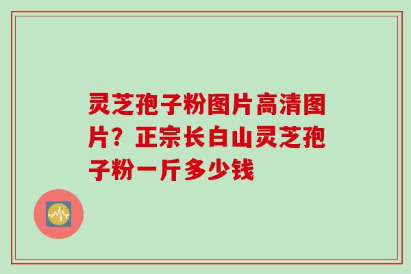 灵芝孢子粉图片高清图片？正宗长白山灵芝孢子粉一斤多少钱