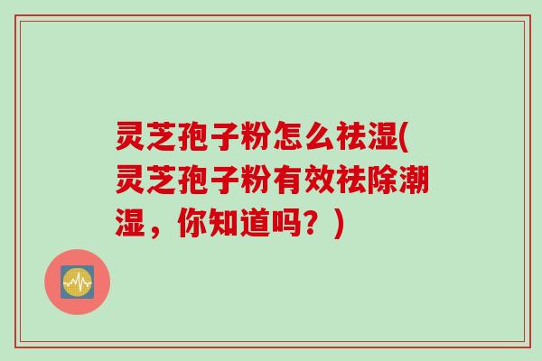 灵芝孢子粉怎么祛湿(灵芝孢子粉有效祛除潮湿，你知道吗？)