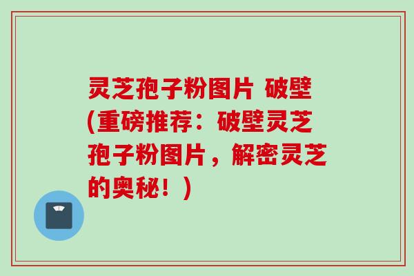 灵芝孢子粉图片 破壁(重磅推荐：破壁灵芝孢子粉图片，解密灵芝的奥秘！)