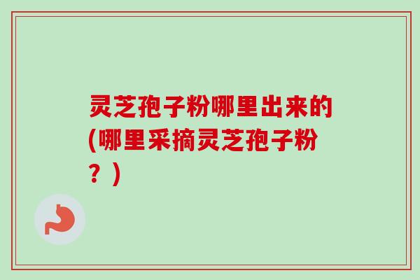 灵芝孢子粉哪里出来的(哪里采摘灵芝孢子粉？)