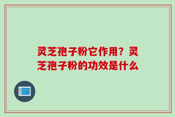 灵芝孢子粉它作用？灵芝孢子粉的功效是什么