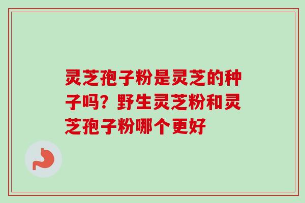 灵芝孢子粉是灵芝的种子吗？野生灵芝粉和灵芝孢子粉哪个更好