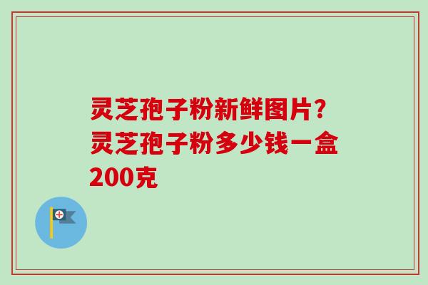灵芝孢子粉新鲜图片?灵芝孢子粉多少钱一盒200克 灵芝孢子粉新鲜图片?灵芝孢子粉多少钱一盒200克