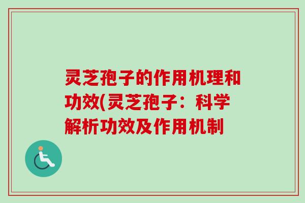 灵芝孢子的作用机理和功效(灵芝孢子：科学解析功效及作用机制