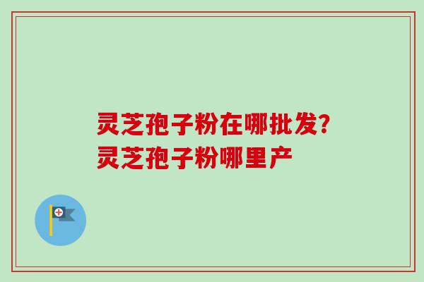 灵芝孢子粉在哪批发？灵芝孢子粉哪里产