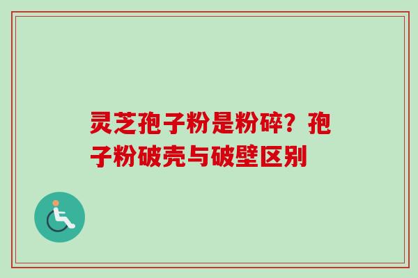 灵芝孢子粉是粉碎?孢子粉破壳与破壁区别 灵芝孢子粉是粉碎?孢子粉破壳与破壁区别