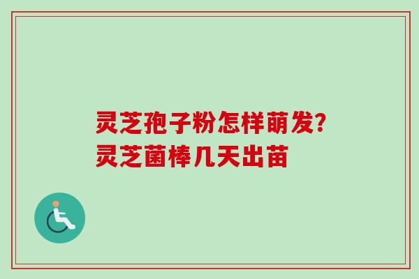 灵芝孢子粉怎样萌发？灵芝菌棒几天出苗